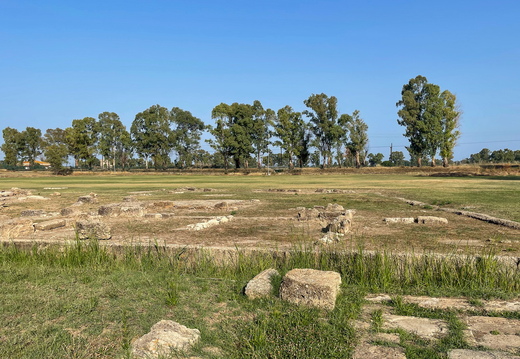 Metaponto, Tempio di Apollo Lykeios #01