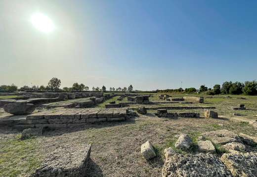 Metaponto, Tempio di Apollo Lykeios #04
