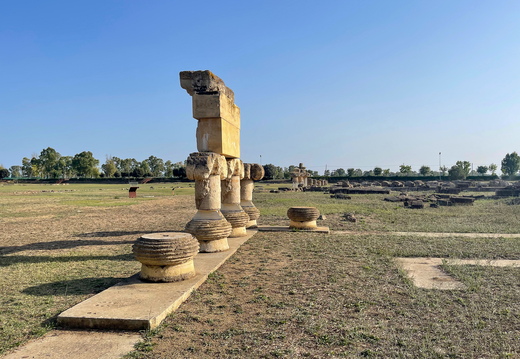 Metaponto, Tempio di Apollo Lykeios #05