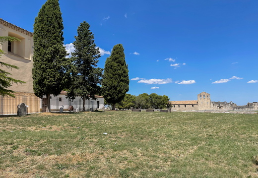 Venosa, Parco archeologico di Venosa #01