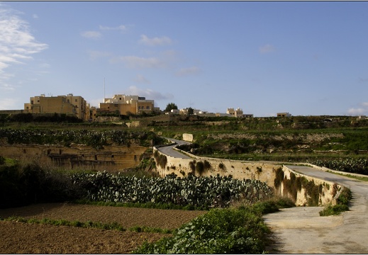 Ta Pinu, Gozo #04