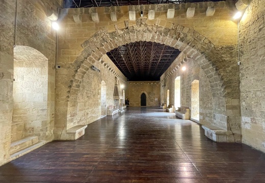 Gioia del Colle, Castello normanno-svevo #10 (186 visits) Gioia del Colle, Castello normanno-svevo #10