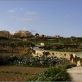 Ta Pinu, Gozo #04