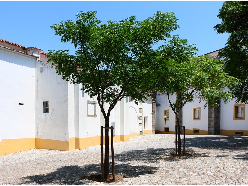 Évora, église São Mamede #02